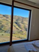 Top Peso da Régua Top Peso da Régua