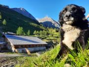 Top Matrei in Osttirol