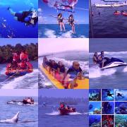 Top Malvan