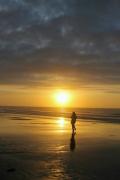 Top Hawaii