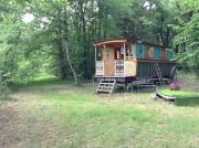 Top Saint Laurent Nouan