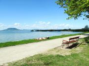 Top Balatonfenyves