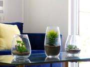 Top Santiago de los Caballeros