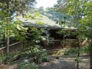 Top Mount Ida