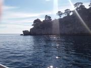 Top Cassis