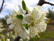 Top Zarza de Granadilla
