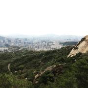 Top Seoul