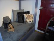 Top Plagne Bellecote