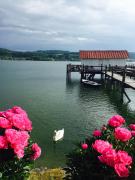 Top Bodman-Ludwigshafen