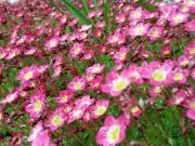 Top Sankt Andreasberg Top Sankt Andreasberg