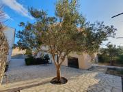 Olive garden Pag studio apartment