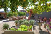 Top Palm Springs