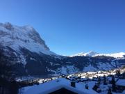 Top Grindelwald