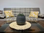 Top San Donà di Piave