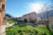 Top Kotor