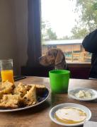 Top San Miguel del Monte