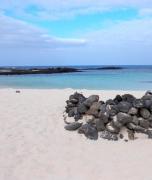 Top Cotillo