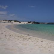 Top Cotillo