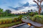 Top Ubud