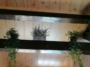 Top Braşov Top Braşov