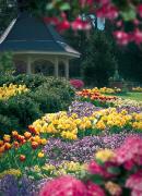 Top Huntsville Top Huntsville