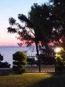 Top Afitos Top Afitos