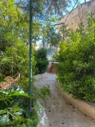 Central house with beautiful garden