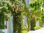 Top Moustiers-Sainte-Marie