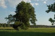 Top Bad Saarow