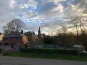 Les Myosotis Les Myosotis