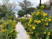 Top Koh Rong