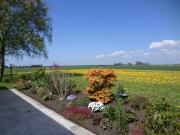 Top Ditzumerhammrich