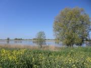 Top Ditzumerhammrich