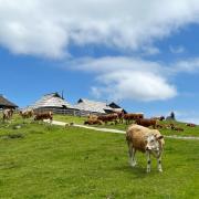 Chalet Korosica Velika Planina