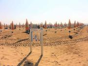 Top Bibione