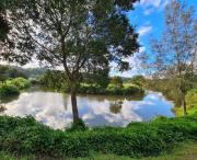 Riverbend Cottage Cabin - Little Heaven