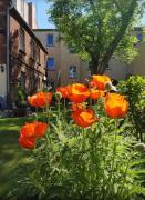 Top Cottbus