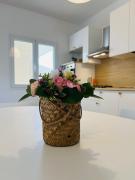 Top Barbusi Top Barbusi