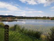 Top Temeszów Top Temeszów