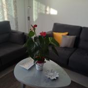 Top Puerto de Santiago