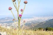 Top Isola delle Femmine