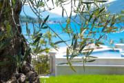 Top Herceg-Novi