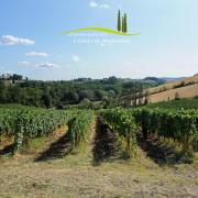 Top Lastra a Signa Top Lastra a Signa