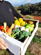 Top Vega de San Mateo