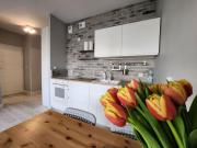 Top Rzeszów Top Rzeszów