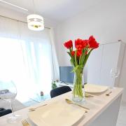 Apartament Perłowy Wellness - Laguna Beskidów