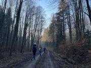 Top Suceava