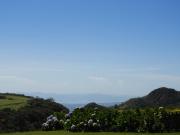 Top Monteverde