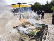 Top Les Cases dAlcanar