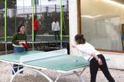 Top Les Cases dAlcanar